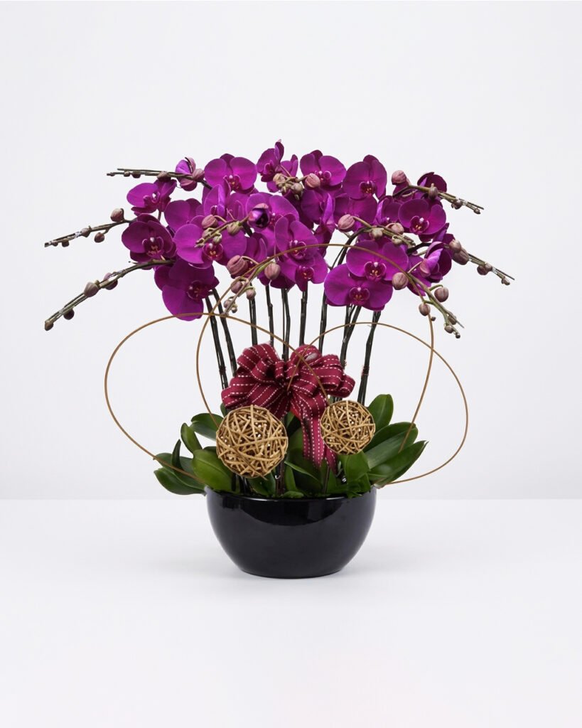 蘭花