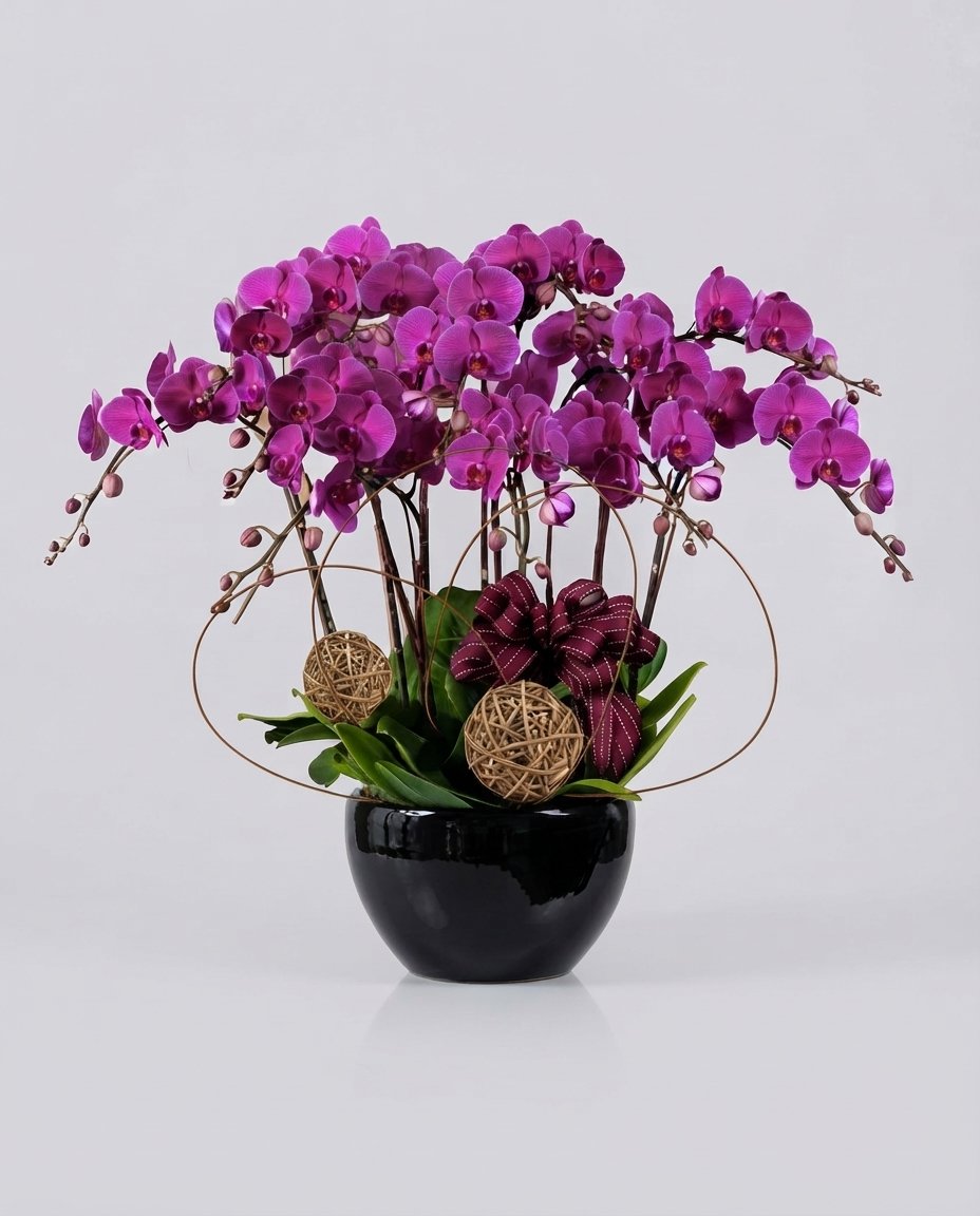 蘭花