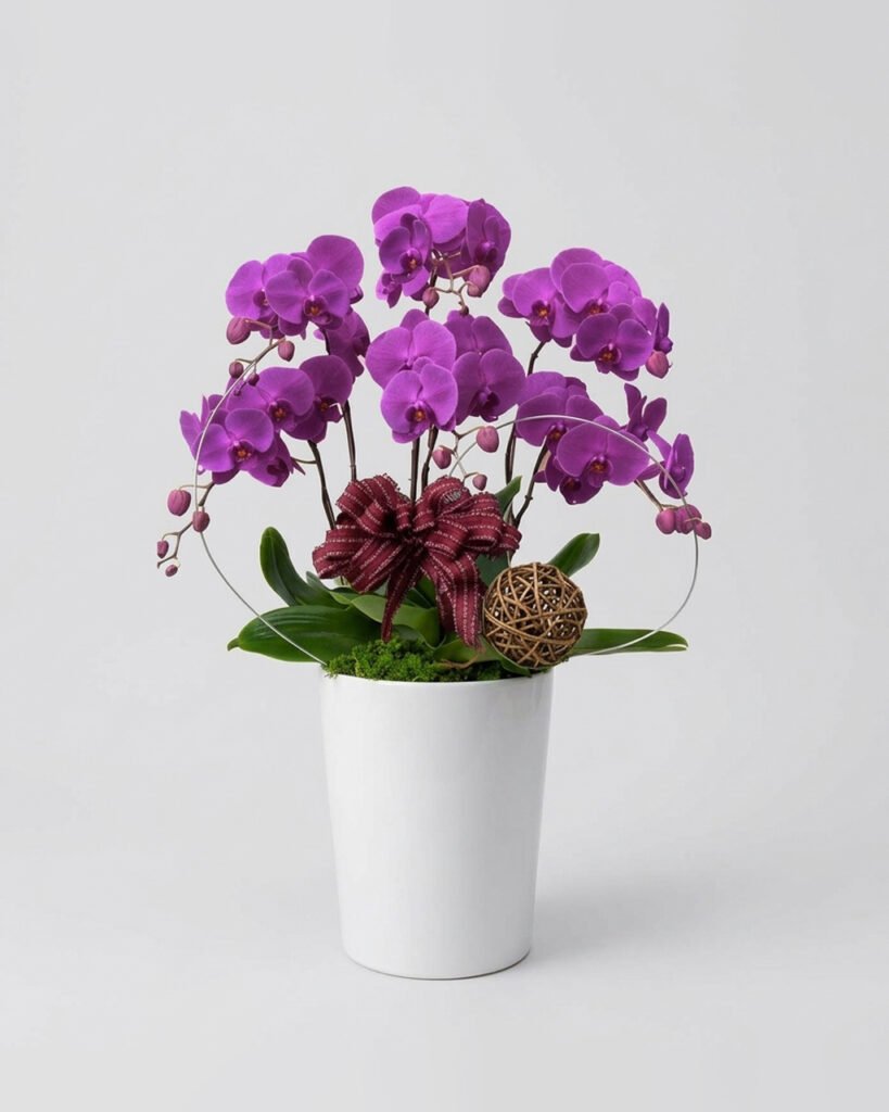 蘭花