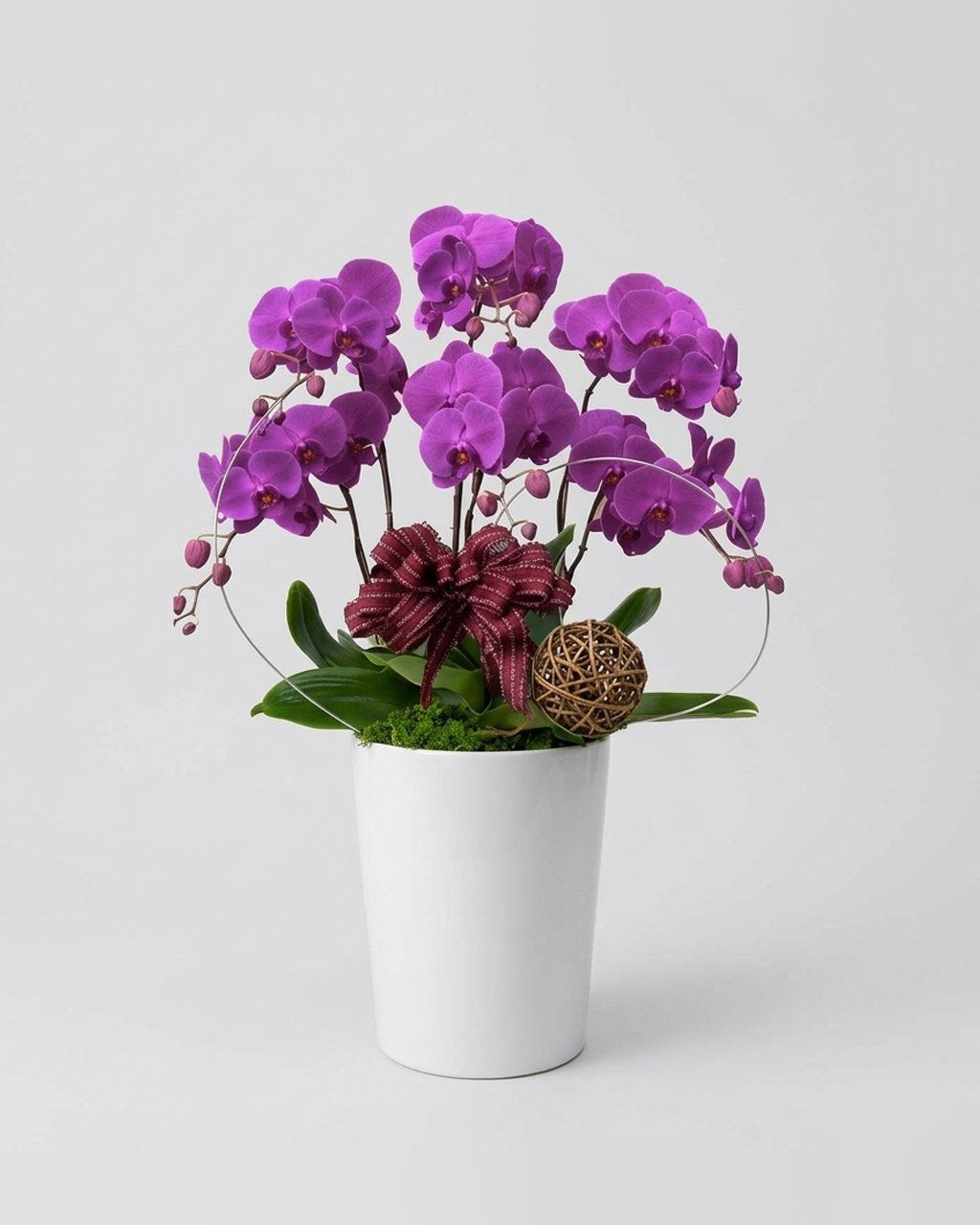 蘭花