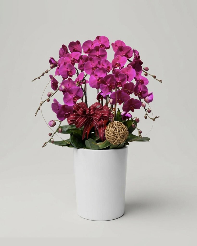 蘭花